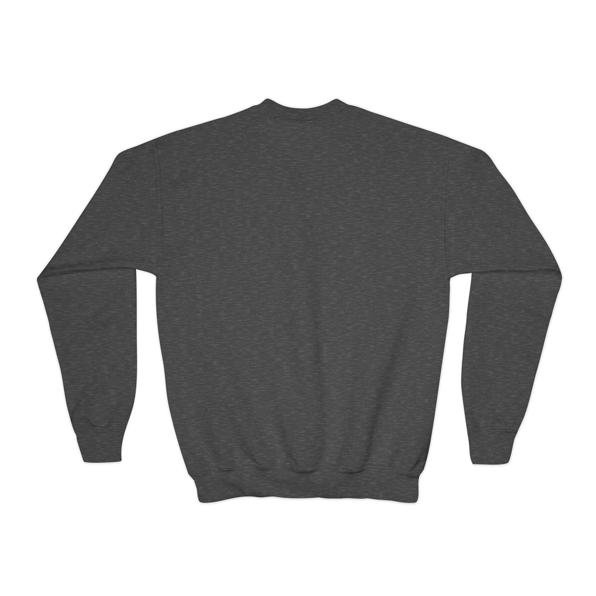 Santa’s Secret Youth Christmas Crewneck Sweatshirt