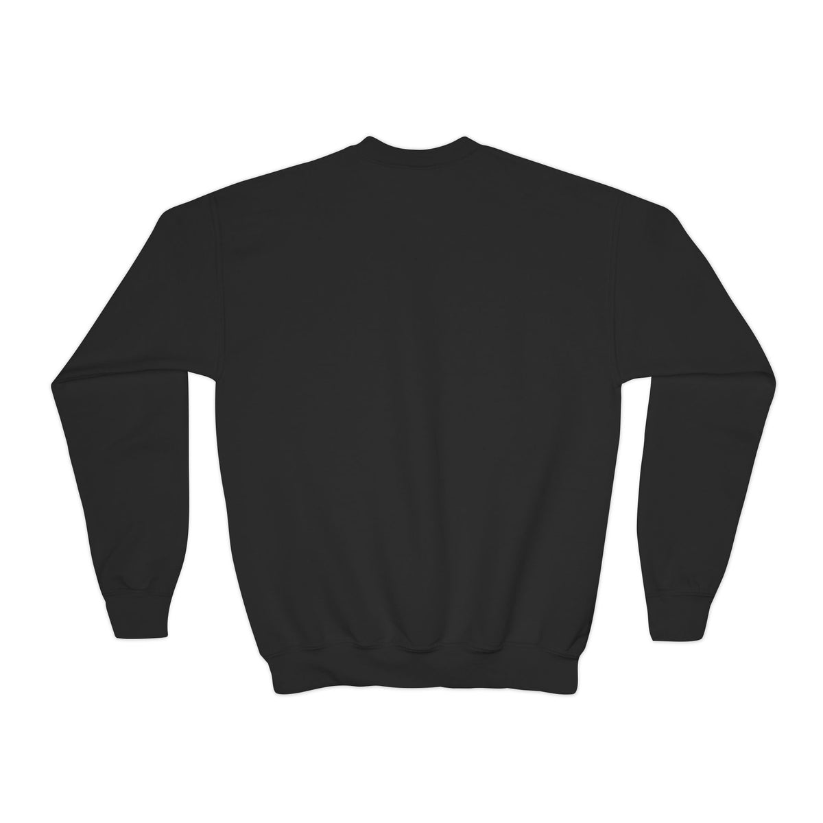 Santa’s Secret Youth Christmas Crewneck Sweatshirt